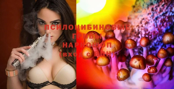 a pvp Новодвинск