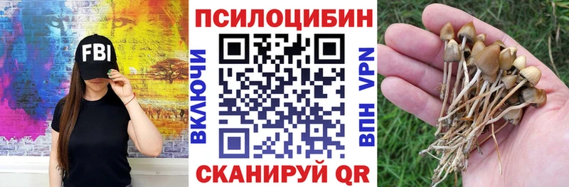 Галлюциногенные грибы GOLDEN TEACHER  где можно купить   Зуевка 