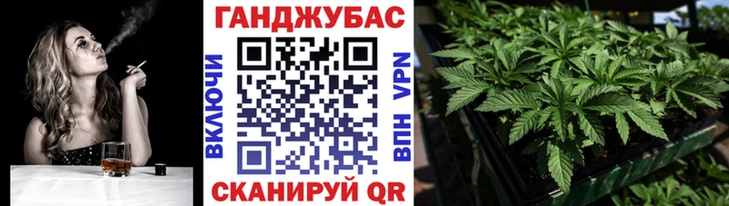 Конопля гибрид Зуевка
